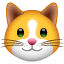 Faccia di gatto