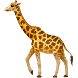Giraffa