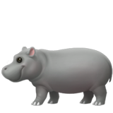 Ippopotamo