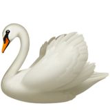Cigno