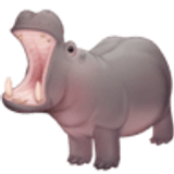 Ippopotamo - Facebook