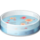 Piastra di Petri - Facebook