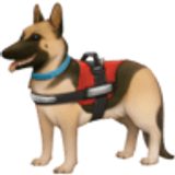 Cane da assistenza - Facebook