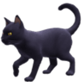 Gatto nero - Facebook