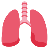 Polmoni - Twitter / X