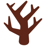 Albero spoglio - Twitter / X