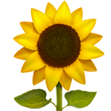 Girasole Emoji