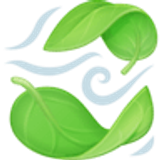 Foglia al vento - Facebook