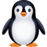 Pinguino - Facebook