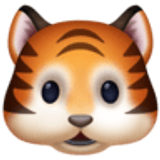 Muso di tigre - Facebook