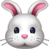 Muso di coniglio - Facebook