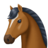 Muso di cavallo - Facebook