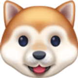 Muso di cane - Facebook