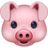 Muso di maiale - Facebook