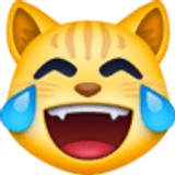Gatto con lacrime di gioia - Facebook