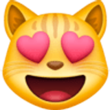 Gatto innamorato - Facebook