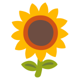 Girasole - Noto Color Emoji
