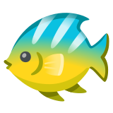 Pesce tropicale - Noto Color Emoji