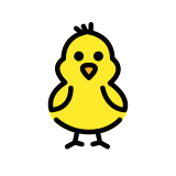 Pulcino visto di fronte - OpenMoji