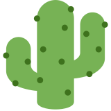 Cactus - Twitter / X
