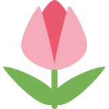 Tulipano - Twitter / X