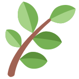 Pianta - Twitter / X