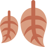 Foglia caduta - Twitter / X