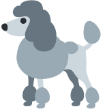 Barboncino - Twitter / X