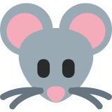 Muso di topo - Twitter / X