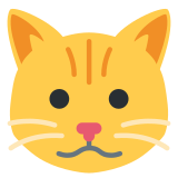 Muso di gatto - Twitter / X