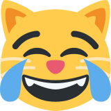 Gatto con lacrime di gioia - Twitter / X