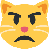 Gatto imbronciato - Twitter / X