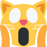 Gatto esterrefatto - Twitter / X