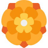 Rosetta - Twitter / X