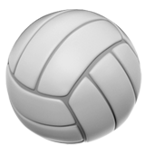 Palla da pallavolo