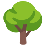 Albero deciduo - Noto Color Emoji