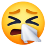 Faccina che starnutisce - Facebook