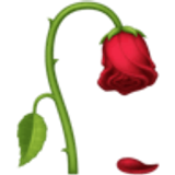 Fiore appassito - Facebook