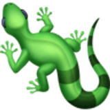 Lucertola - Facebook