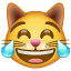 Gatto che piange U+1F639 Gatto che piange U+1F639