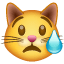 Gatto che piange Whatsapp U+1F63F Gatto che piange Whatsapp U+1F63F