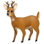Cervo Emoji U+1F98C Cervo Emoji U+1F98C
