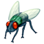 Mosca Whatsapp U+1FAB0 Mosca Whatsapp U+1FAB0