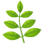 Erba aromatica U+1F33F Erba aromatica U+1F33F