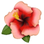 Ibisco Emoji U+1F33A Ibisco Emoji U+1F33A