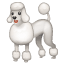 Barboncino Emoji U+1F429 Barboncino Emoji U+1F429