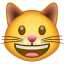 Gatto che ride Emoji U+1F63A Gatto che ride Emoji U+1F63A