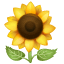Girasole Emoji U+1F33B Girasole Emoji U+1F33B